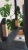 il_fullxfull.6348798933_qwda.webp